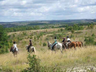 Initiation équitation horseback riding